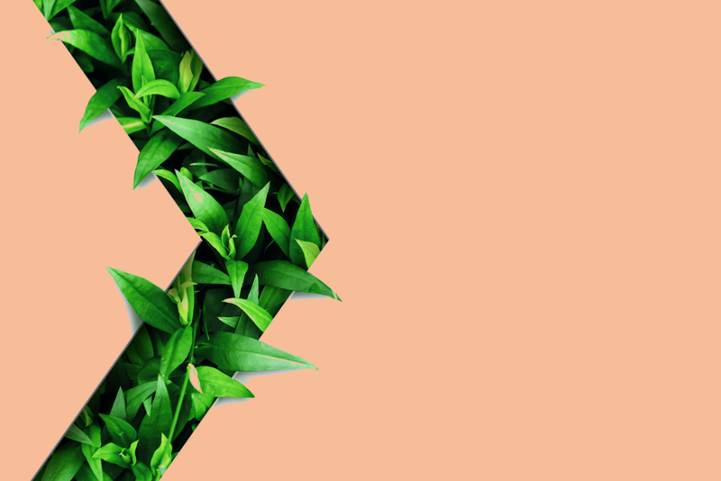 Eco Materials